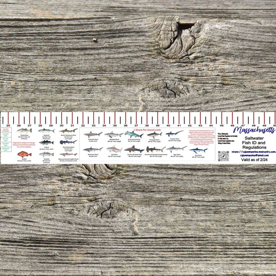 MASSACHUSETTS SALT WATER RULER 50 INCH FISH ID AND STATE REGULATIONS FISH RULER DECAL - Get Tight Gear
