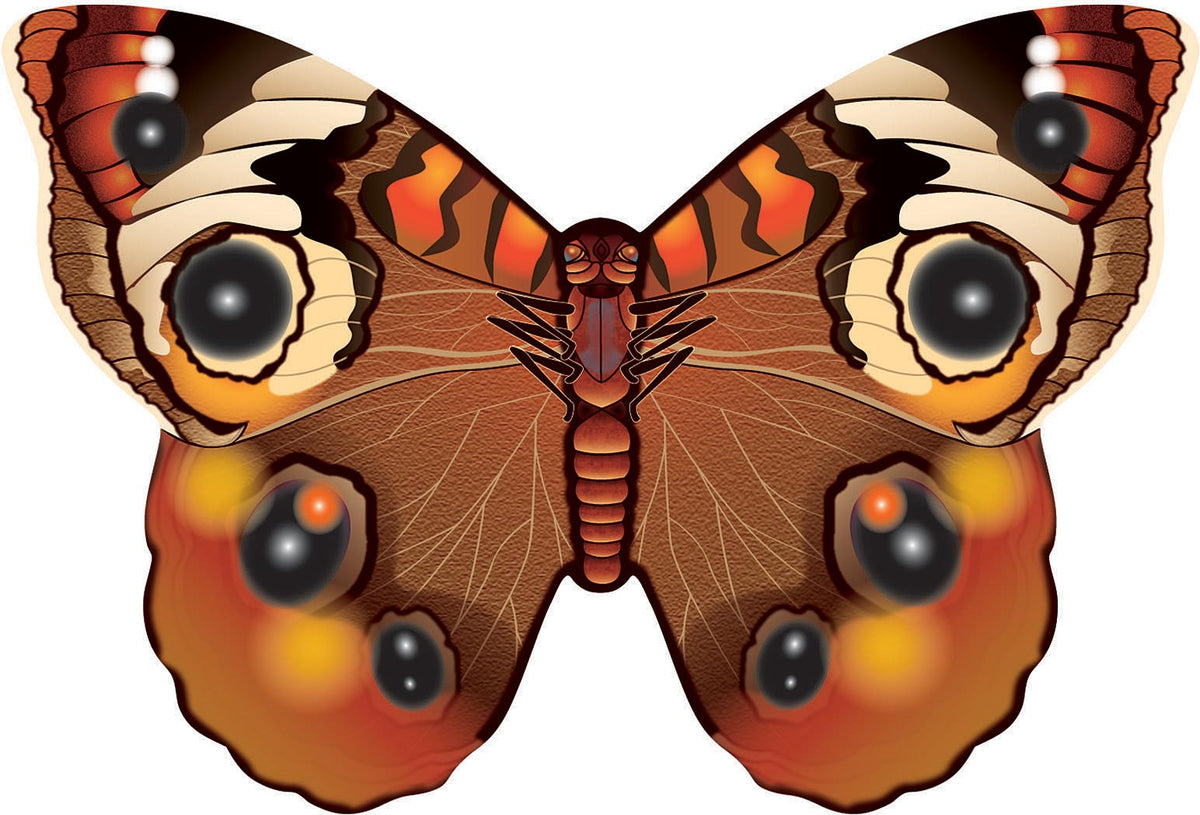Microbutterfly Buckeye - Get Tight Gear