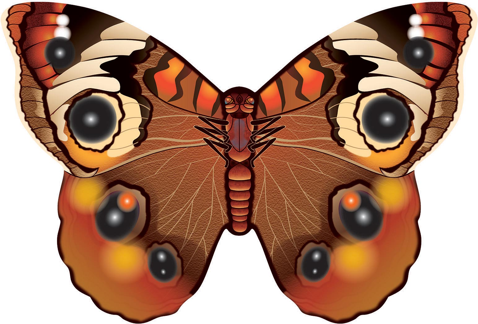 Microbutterfly Buckeye - Get Tight Gear