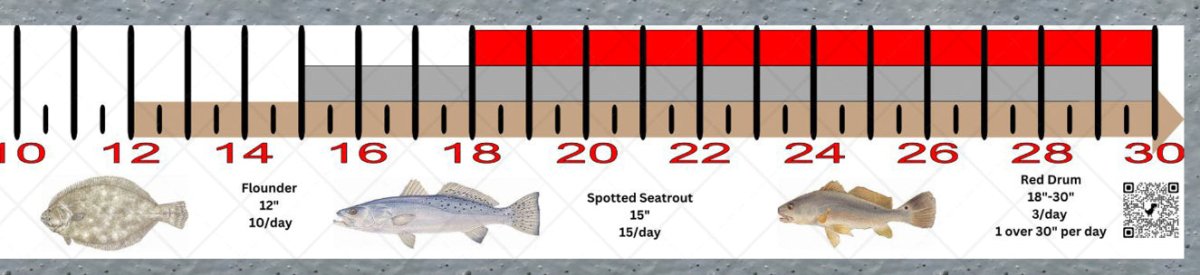 Mississippi Inshore Fishing Slot Ruler Decal - Get Tight Gear