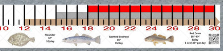 Mississippi Inshore Fishing Slot Ruler Decal - Get Tight Gear