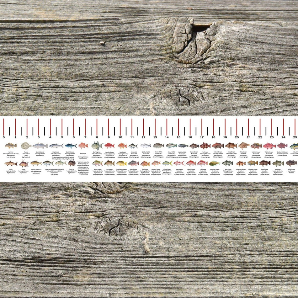 MISSISSIPPI SALT WATER RULER 50 INCH FISH ID AND STATE REGULATIONS FISH RULER DECAL - Get Tight Gear