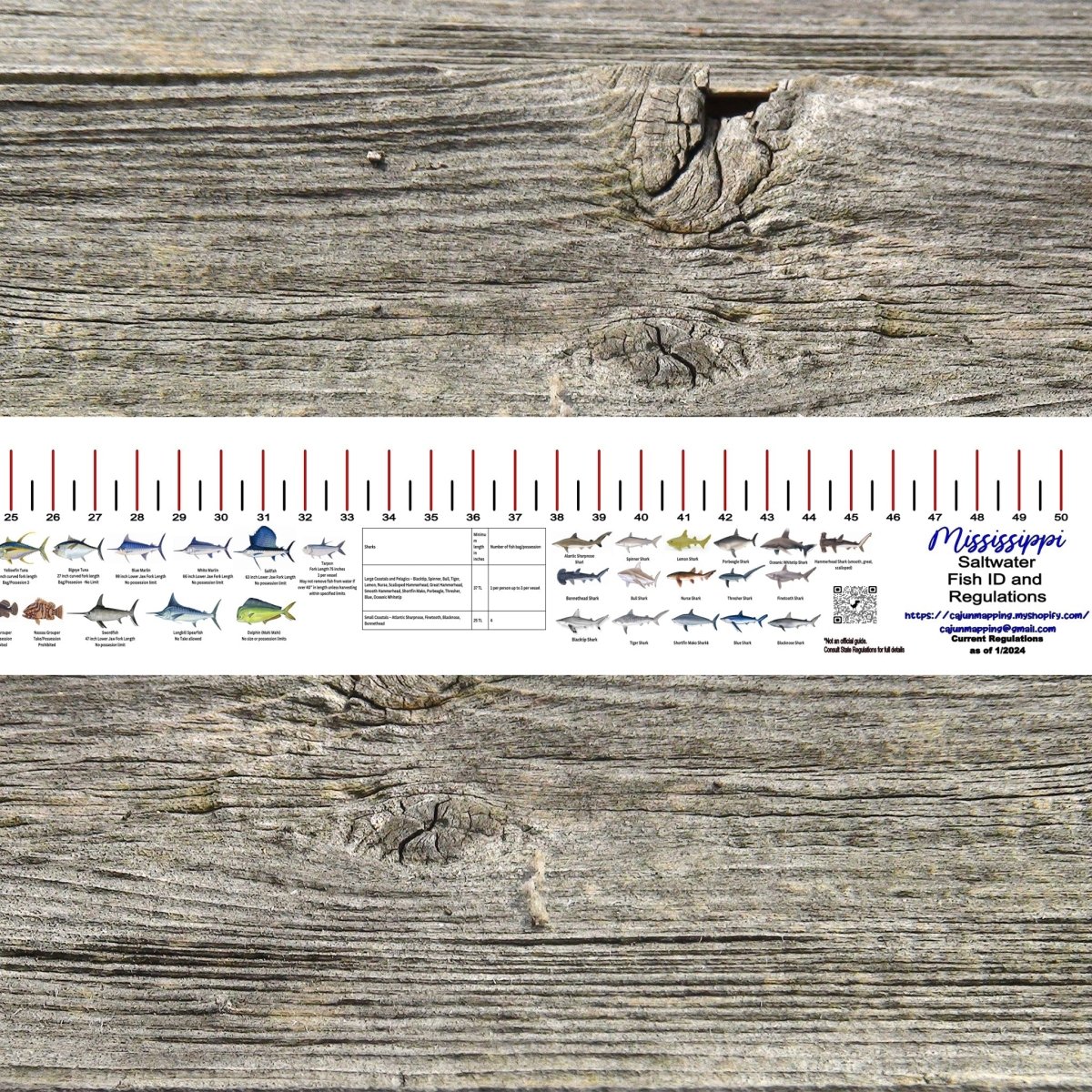 MISSISSIPPI SALT WATER RULER 50 INCH FISH ID AND STATE REGULATIONS FISH RULER DECAL - Get Tight Gear