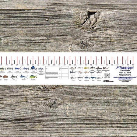 MISSISSIPPI SALT WATER RULER 50 INCH FISH ID AND STATE REGULATIONS FISH RULER DECAL - Get Tight Gear