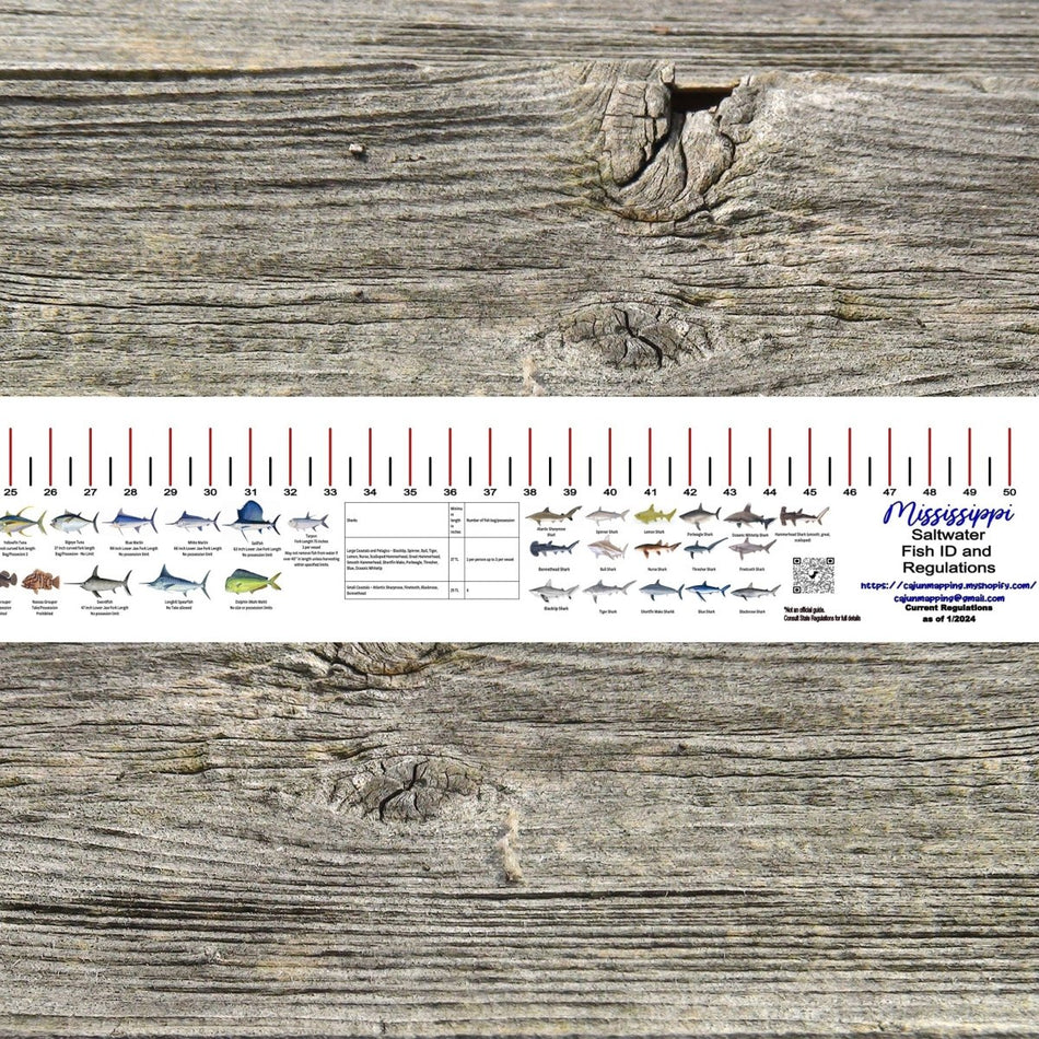 MISSISSIPPI SALT WATER RULER 50 INCH FISH ID AND STATE REGULATIONS FISH RULER DECAL - Get Tight Gear