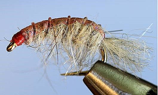Molting Scuds - Get Tight Gear