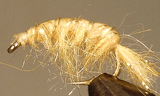 Molting Scuds - Get Tight Gear