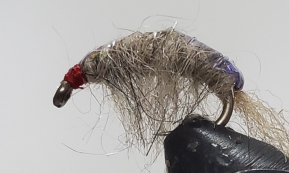 Molting Scuds - Get Tight Gear
