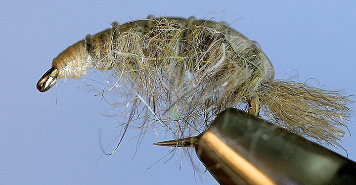 Molting Scuds - Get Tight Gear