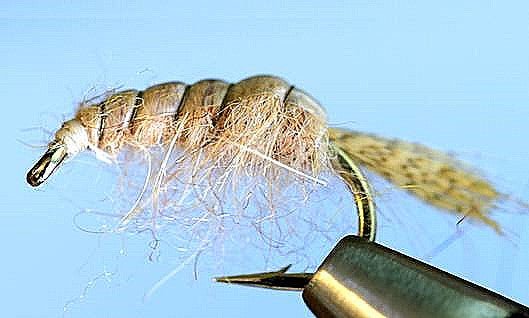 Molting Scuds - Get Tight Gear