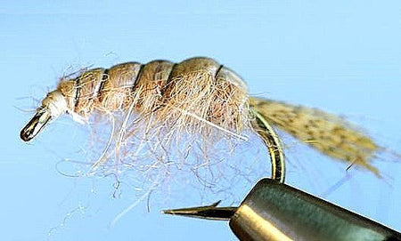 Molting Scuds - Get Tight Gear