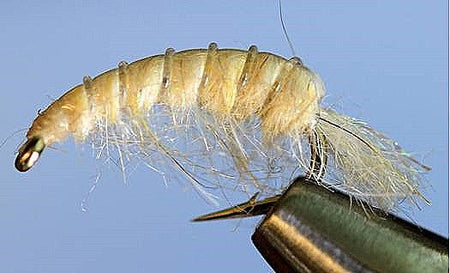 Molting Scuds - Get Tight Gear