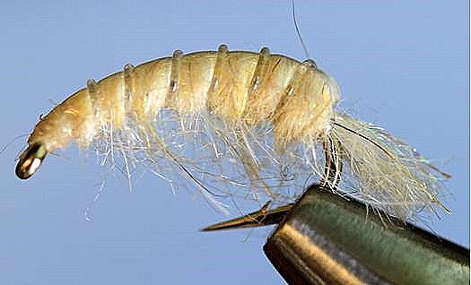 Molting Scuds - Get Tight Gear