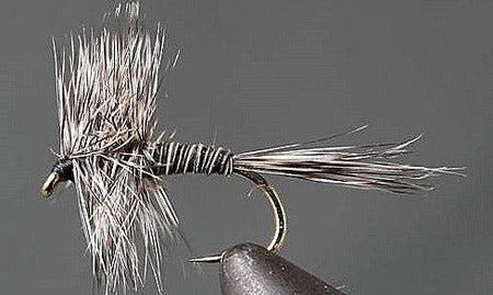 Mosquito - Get Tight Gear