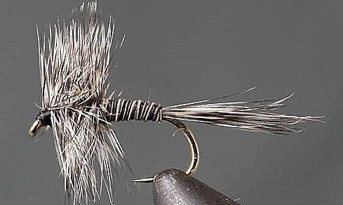 Mosquito - Get Tight Gear