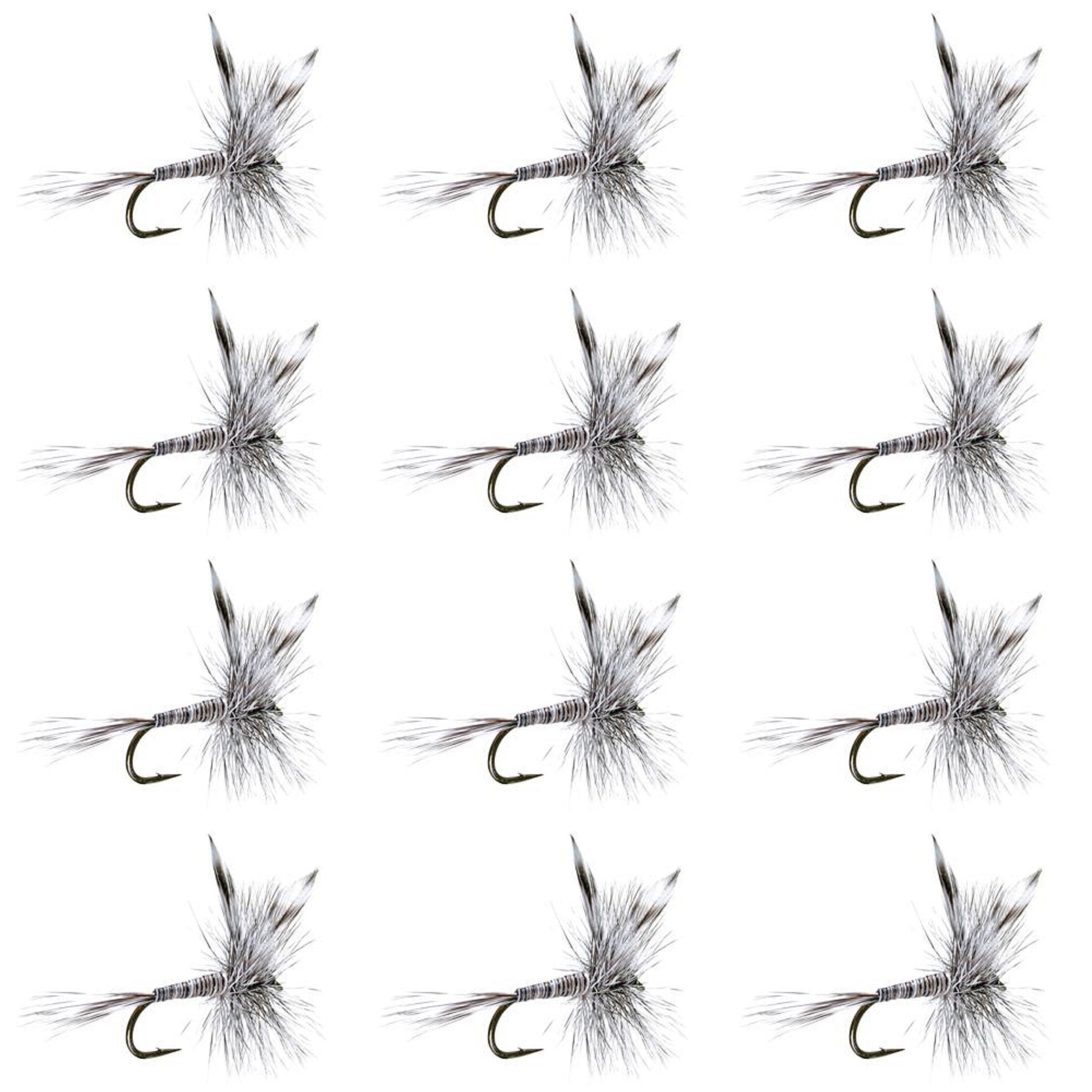 Mosquito Classic Trout Dry Fly Fishing Flies - 1 Dozen Size 12 - Get Tight Gear