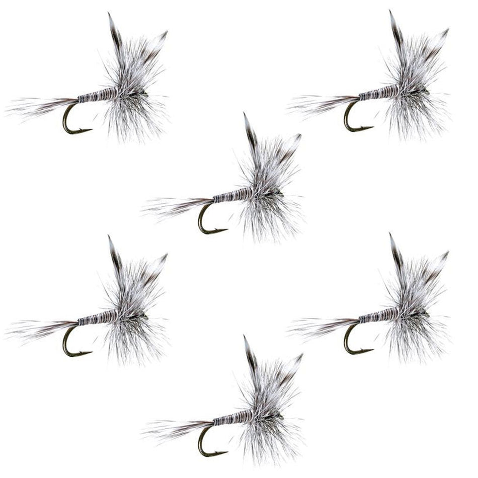 Mosquito Classic Trout Dry Fly Fishing Flies - Set of 6 Flies Size 10 - Get Tight Gear