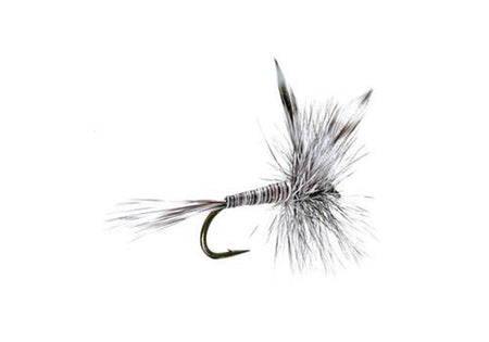 Mosquito Classic Trout Dry Fly Fishing Flies - Set of 6 Flies Size 12 - Get Tight Gear