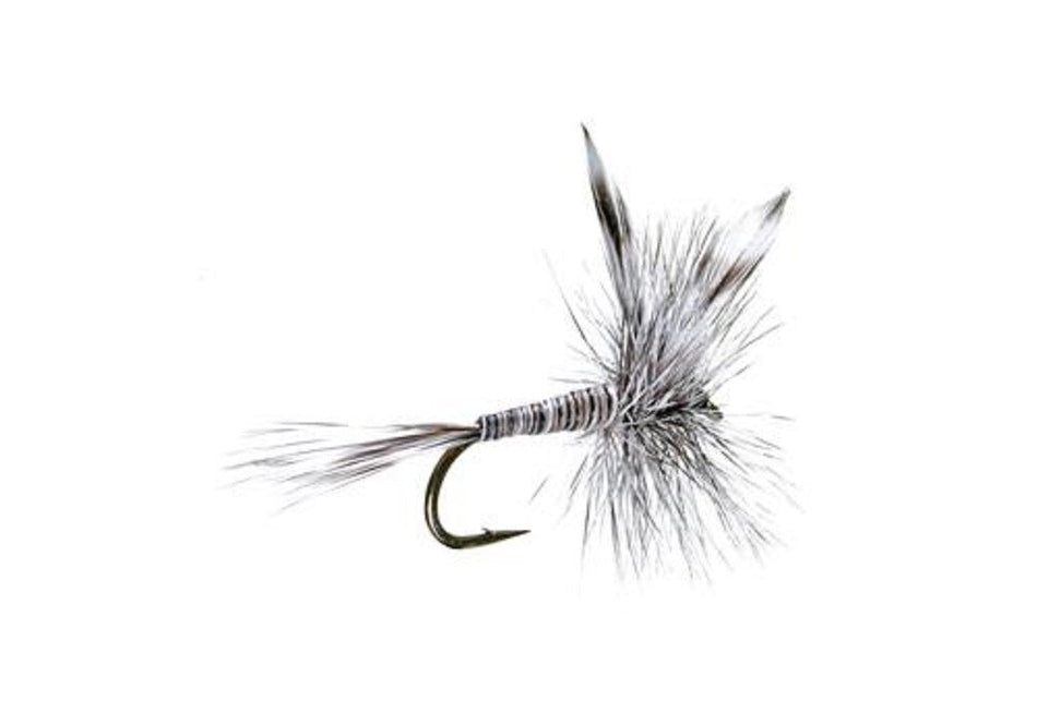Mosquito Classic Trout Dry Fly Fishing Flies - Set of 6 Flies Size 12 - Get Tight Gear