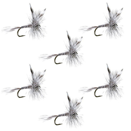 Mosquito Classic Trout Dry Fly Fishing Flies - Set of 6 Flies Size 18 - Get Tight Gear