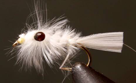 Mysis Shrimp - Get Tight Gear