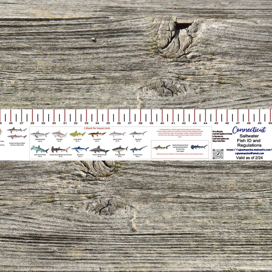 NEW HAMPSHIRE SALT WATER RULER 50 INCH FISH ID AND STATE REGULATIONS FISH RULER DECAL - Get Tight Gear