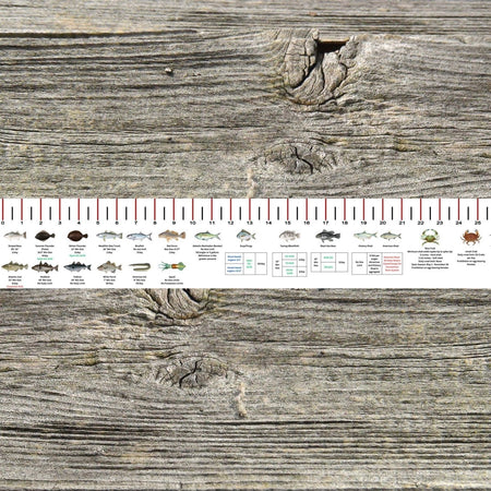 NEW HAMPSHIRE SALT WATER RULER 50 INCH FISH ID AND STATE REGULATIONS FISH RULER DECAL - Get Tight Gear