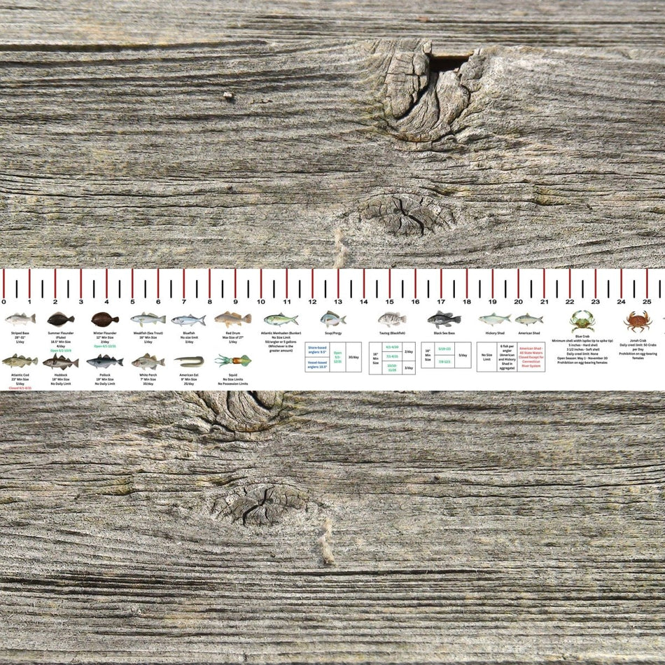 NEW HAMPSHIRE SALT WATER RULER 50 INCH FISH ID AND STATE REGULATIONS FISH RULER DECAL - Get Tight Gear