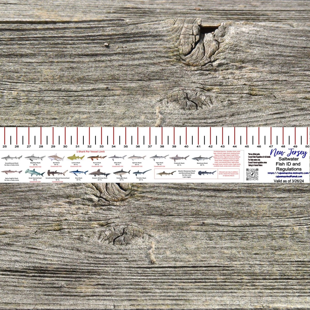 NEW JERSEY SALT WATER RULER 50 INCH FISH ID AND STATE REGULATIONS FISH RULER DECAL - Get Tight Gear