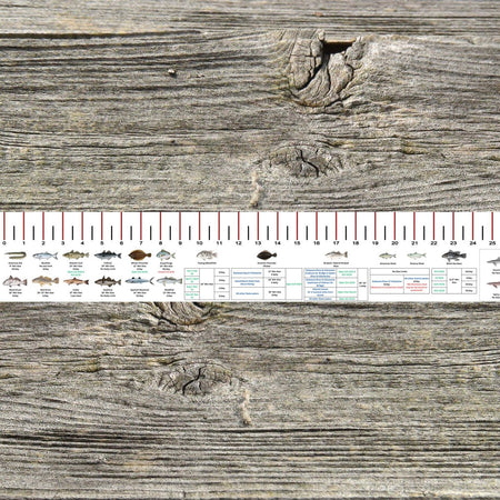 NEW JERSEY SALT WATER RULER 50 INCH FISH ID AND STATE REGULATIONS FISH RULER DECAL - Get Tight Gear