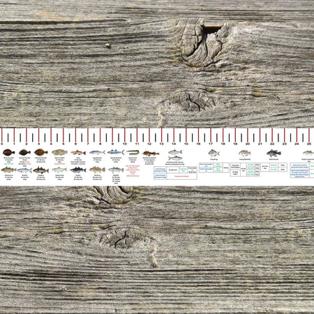 NEW YORK SALT WATER RULER 50 INCH FISH ID AND STATE REGULATIONS FISH RULER DECAL - Get Tight Gear