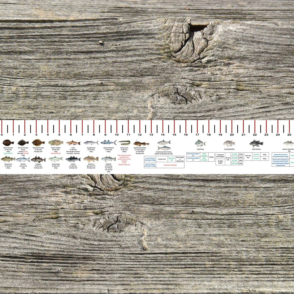 NEW YORK SALT WATER RULER 50 INCH FISH ID AND STATE REGULATIONS FISH RULER DECAL - Get Tight Gear