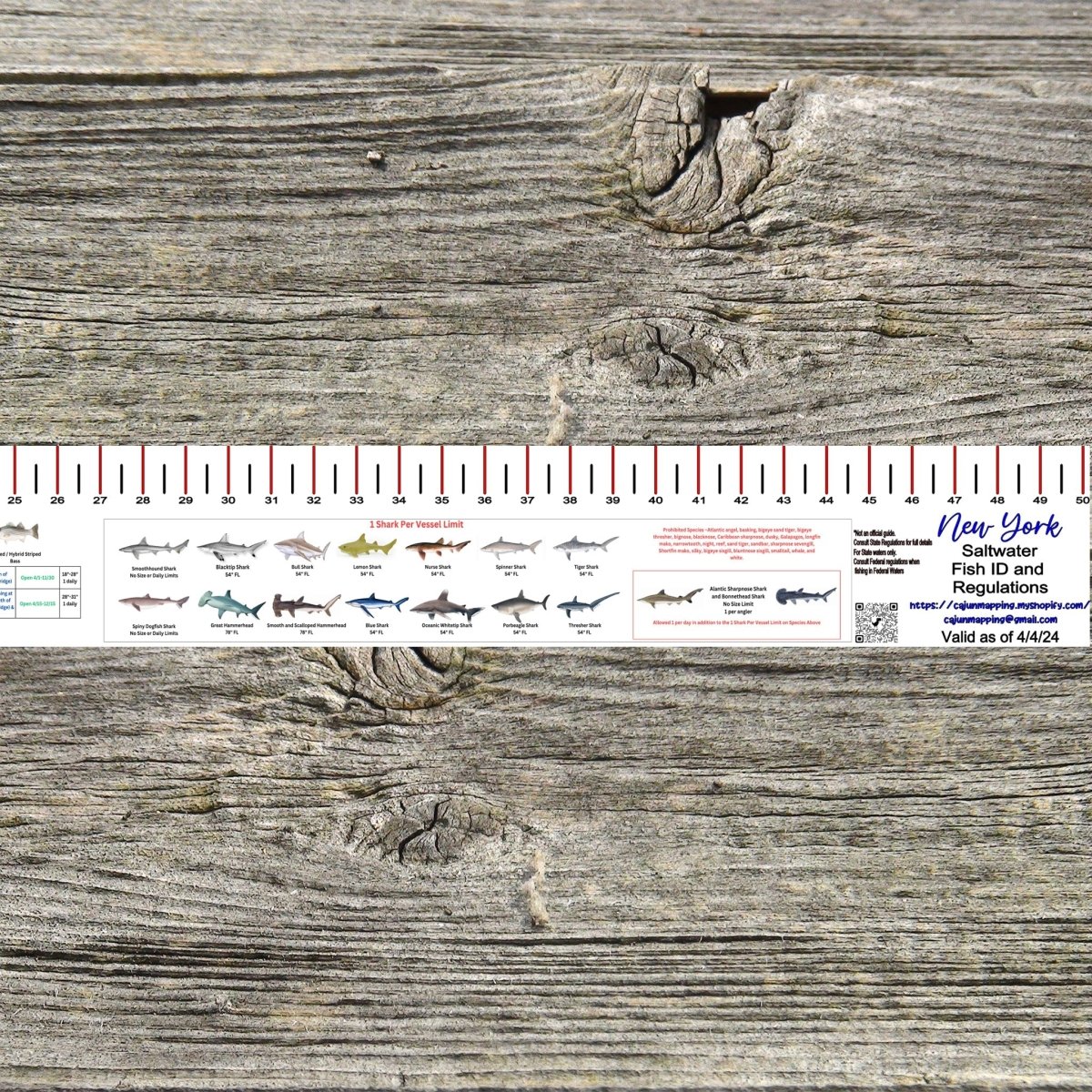 NEW YORK SALT WATER RULER 50 INCH FISH ID AND STATE REGULATIONS FISH RULER DECAL - Get Tight Gear