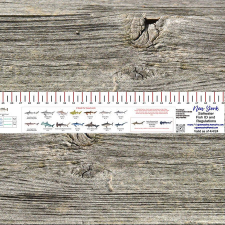 NEW YORK SALT WATER RULER 50 INCH FISH ID AND STATE REGULATIONS FISH RULER DECAL - Get Tight Gear