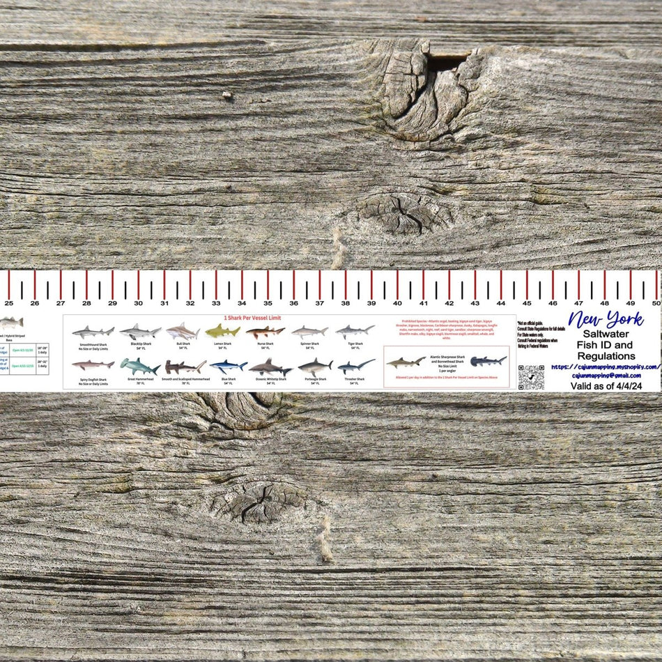 NEW YORK SALT WATER RULER 50 INCH FISH ID AND STATE REGULATIONS FISH RULER DECAL - Get Tight Gear