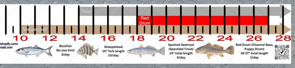 North Carolina Inshore Fishing Slot Ruler Decal - Get Tight Gear