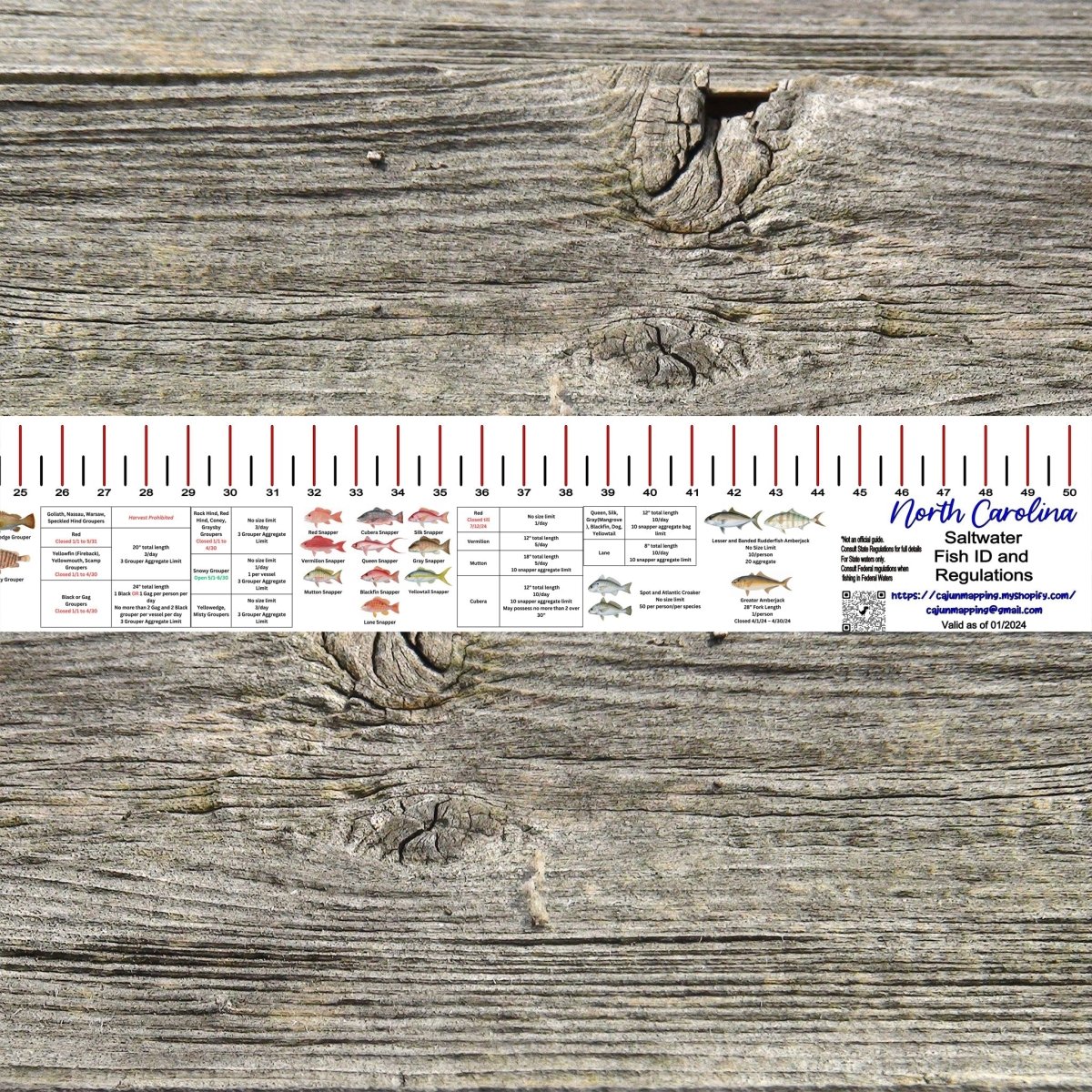 NORTH CAROLINA SALT WATER RULER 50 INCH FISH ID AND STATE REGULATIONS FISH RULER DECAL - Get Tight Gear