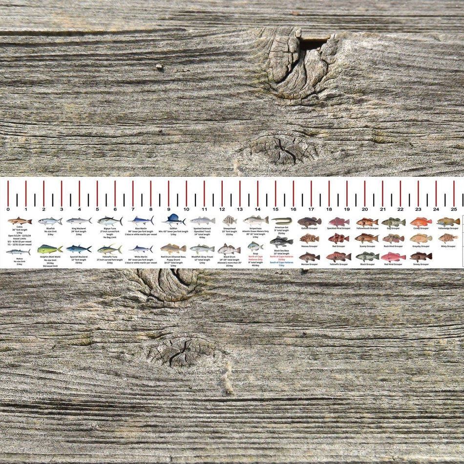 NORTH CAROLINA SALT WATER RULER 50 INCH FISH ID AND STATE REGULATIONS FISH RULER DECAL - Get Tight Gear