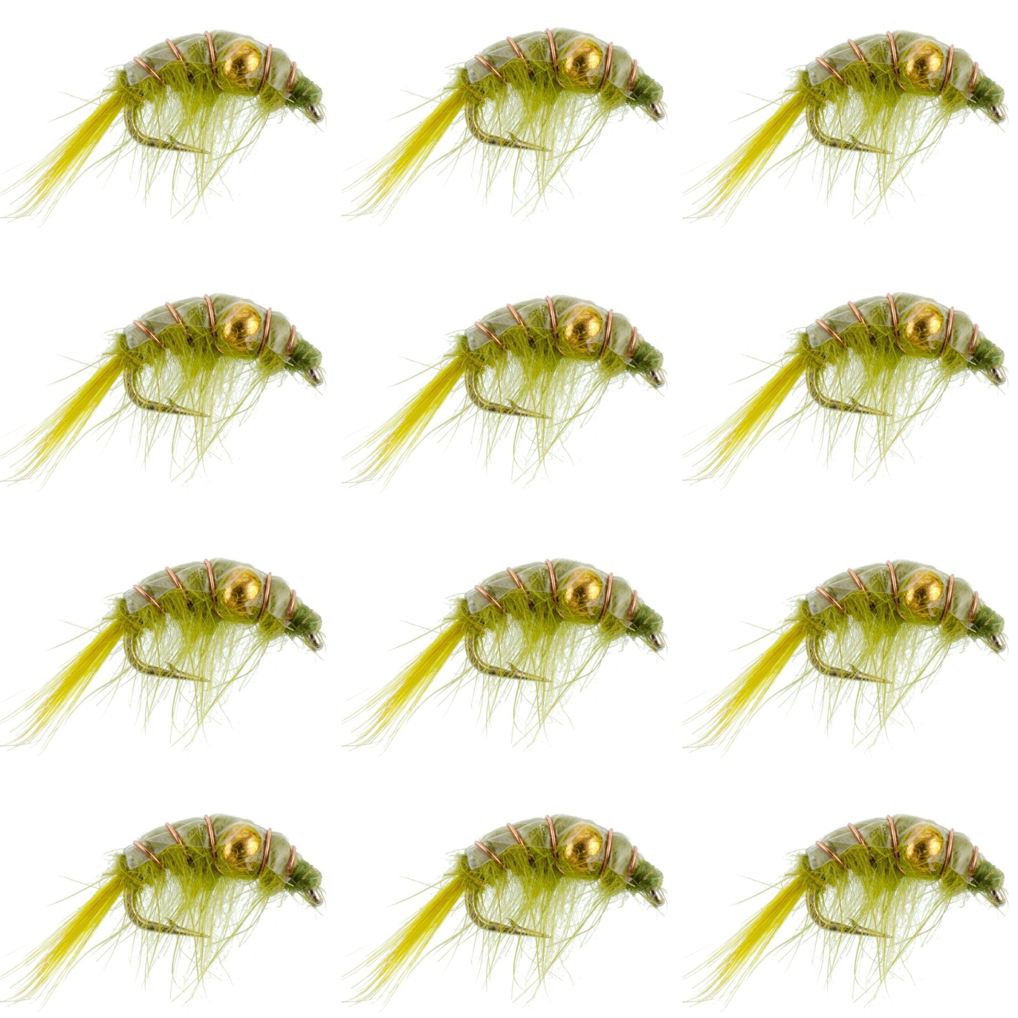 Olive Beaded Shrimp Scud Pattern - 1 Dozen Size 12 - Tailwater Lake Fly Fishing Nymph Flies - Get Tight Gear