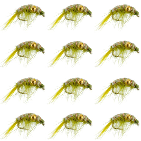 Olive Beaded Shrimp Scud Pattern - 1 Dozen Size 12 - Tailwater Lake Fly Fishing Nymph Flies - Get Tight Gear
