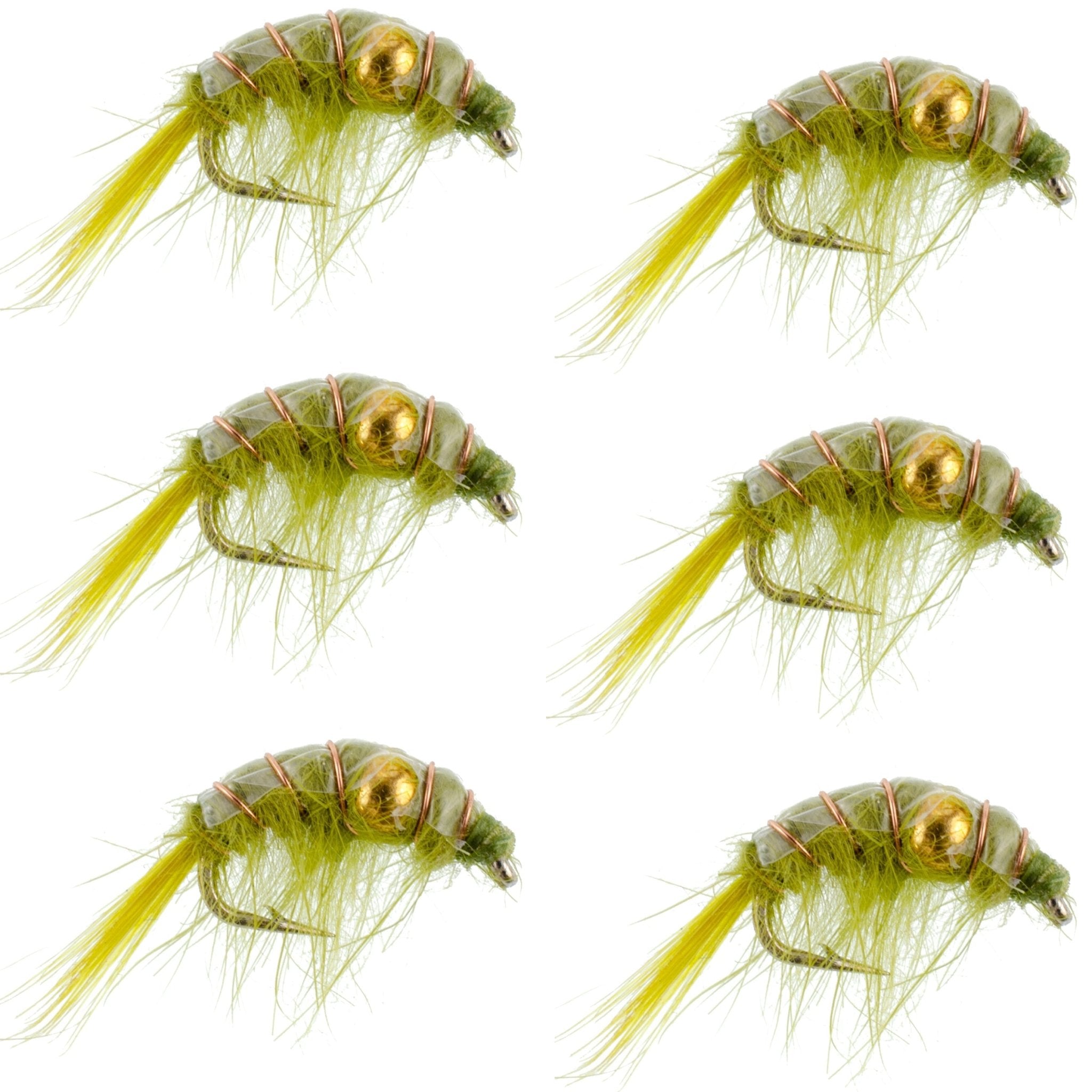 Olive Beaded Shrimp Scud Pattern - 6 Flies - Size 12 - Tailwater Lake Fly Fishing Nymph Flies - Get Tight Gear
