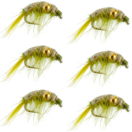 Olive Beaded Shrimp Scud Pattern - 6 Flies - Size 12 - Tailwater Lake Fly Fishing Nymph Flies - Get Tight Gear