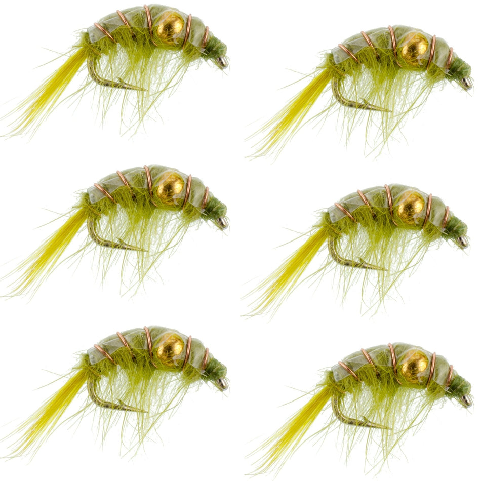Olive Beaded Shrimp Scud Pattern - 6 Flies - Size 12 - Tailwater Lake Fly Fishing Nymph Flies - Get Tight Gear