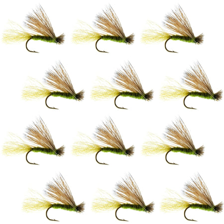 Olive X Caddis Emerging Caddis Adult Trout Dry Fly - 1 Dozen Flies Hook Size 14 - Get Tight Gear