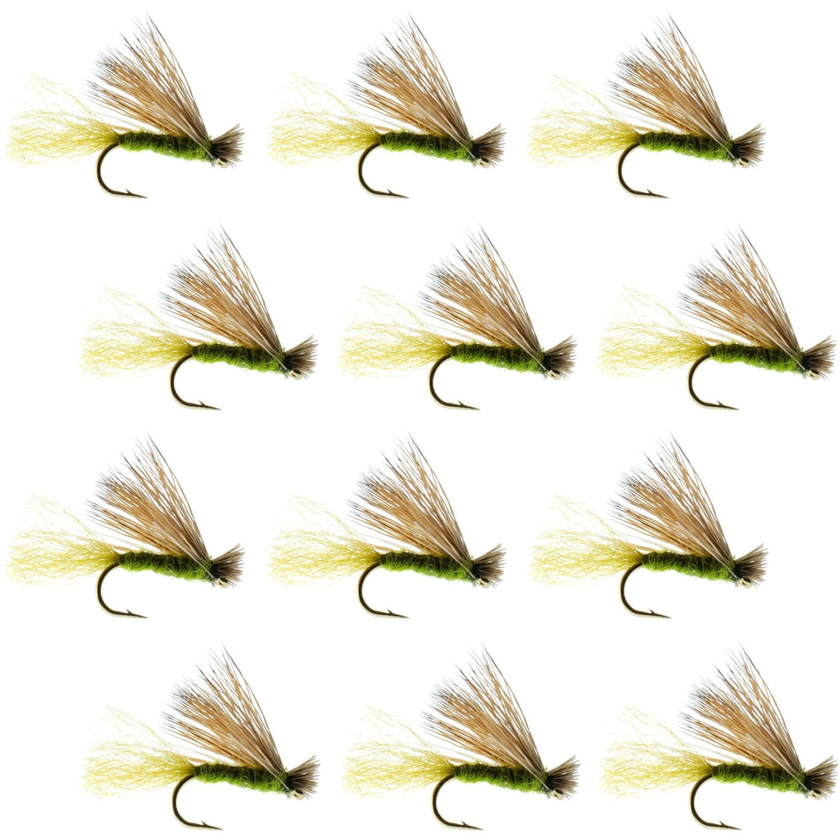 Olive X Caddis Emerging Caddis Adult Trout Dry Fly - 1 Dozen Flies Hook Size 14 - Get Tight Gear