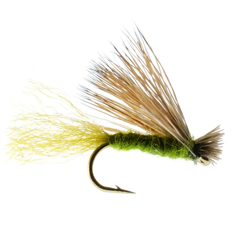 Olive X Caddis Emerging Caddis Adult Trout Dry Fly - 1 Dozen Flies Hook Size 16 - Get Tight Gear