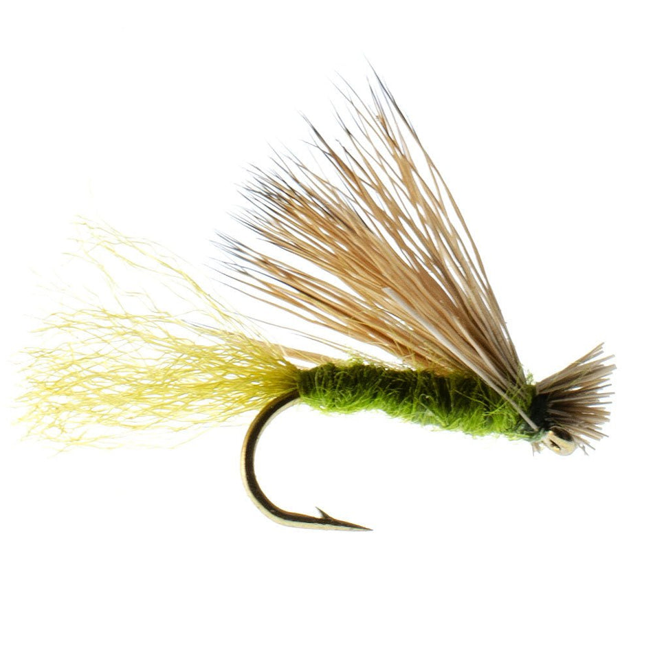 Olive X Caddis Emerging Caddis Adult Trout Dry Fly - 1 Dozen Flies Hook Size 16 - Get Tight Gear