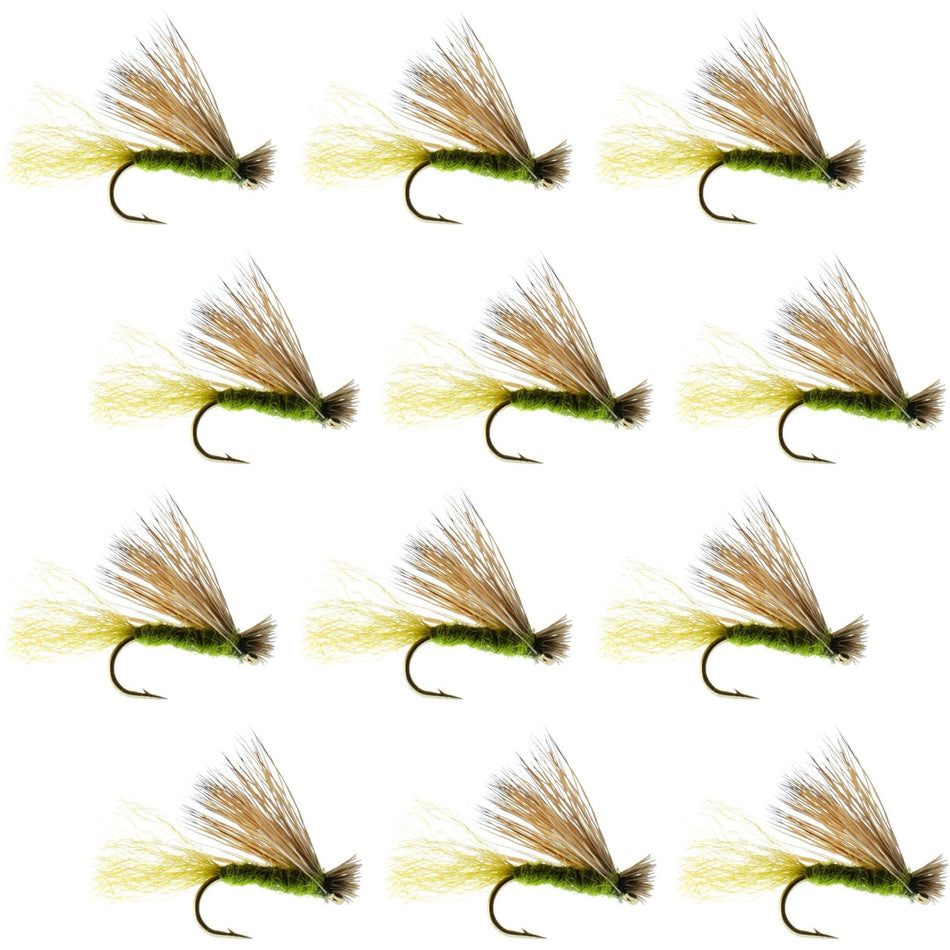 Olive X Caddis Emerging Caddis Adult Trout Dry Fly - 1 Dozen Flies Hook Size 16 - Get Tight Gear