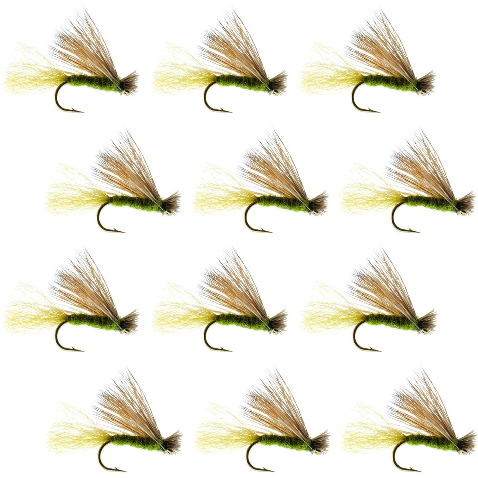 Olive X Caddis Emerging Caddis Adult Trout Dry Fly - 1 Dozen Flies Hook Size 18 - Get Tight Gear