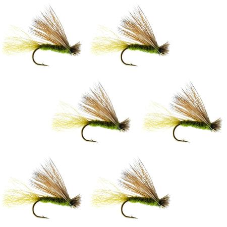 Olive X Caddis Emerging Caddis Adult Trout Dry Fly - 6 Flies Hook Size 16 - Get Tight Gear